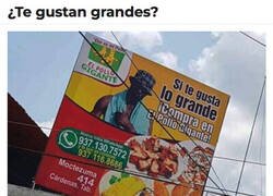 Enlace a Yo a usted lo conozco...