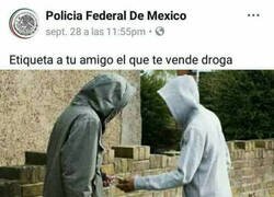 Enlace a Buen intento
