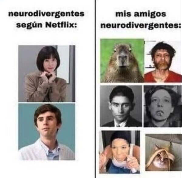 Otros - La verdadera neurodivergencia