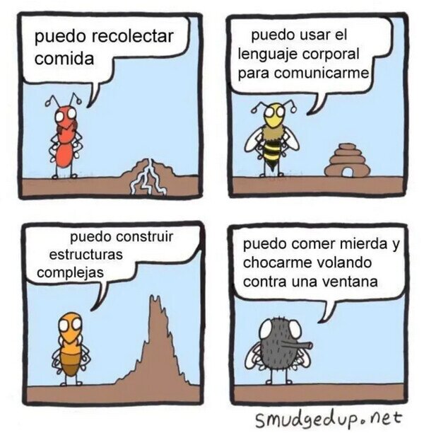 bichos,habilidades,mosca,insectos
