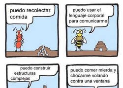 Enlace a Bichos y sus diferentes habilidades
