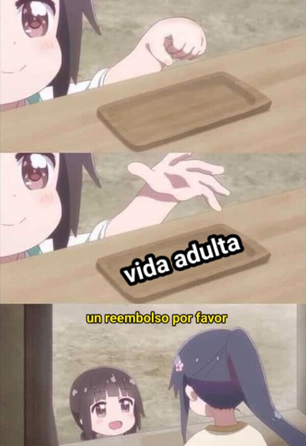 devolver,reembolso,vida,adulta