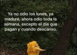 Enlace a Superé el odio a los lunes