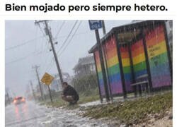 Enlace a Demasiado machito