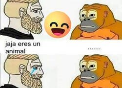 Enlace a Peleando con un animal (de un meme)