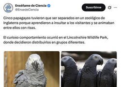 Enlace a El grupito de atrás se me separa