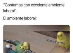 Enlace a Excelente ambiente laboral