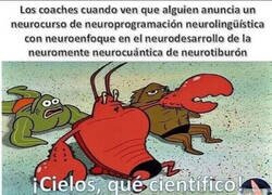 Enlace a Entre ellos se creen sus cuentos