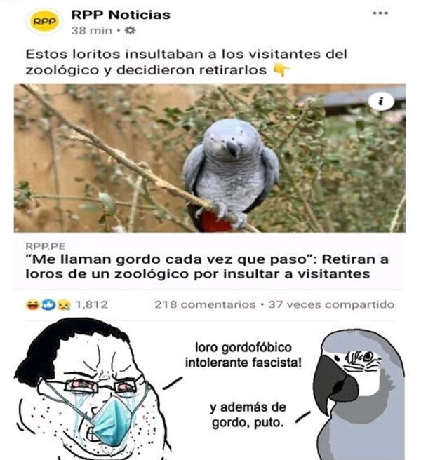 Meme_otros - Loros que hacen bullying