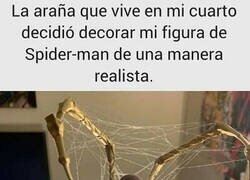 Enlace a La araña sabía lo que hacía