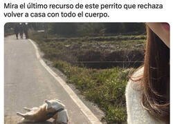 Enlace a Se niega a entrar