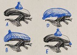 Enlace a ¿Cómo llevaría gorrito de lana un xenomorfo?