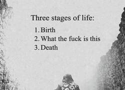 Enlace a Las tres etapas de la vida