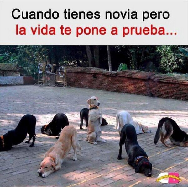 Meme_otros - Me siento rodeado
