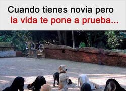 Enlace a Me siento rodeado