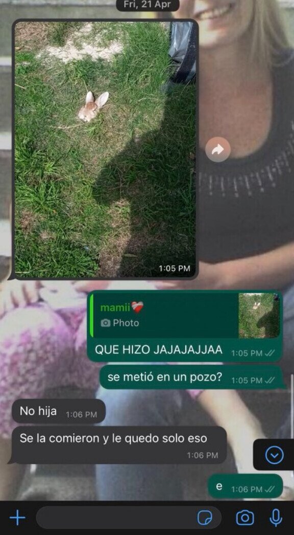madre,conejo,cabeza,wtf