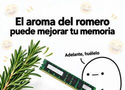 Enlace a Menudo hack