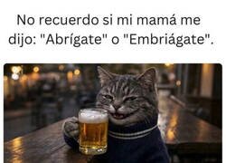 Enlace a Por si acaso