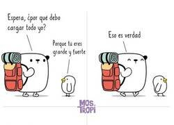 Enlace a Ah, pues venga
