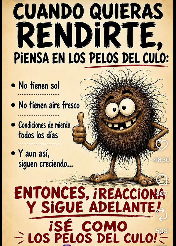 Meme_otros - Los pelos del culo son mi referente