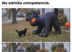 Enlace a Este jardín es muy pequeño para los dos