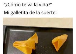 Enlace a La galletita ha hablado