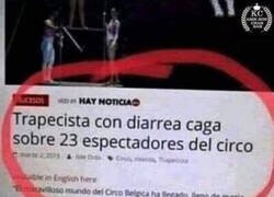 Enlace a Al menos no se aburrieron