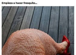 Enlace a Piel de gallina