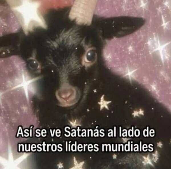 Meme_otros - Un corderito a su lado