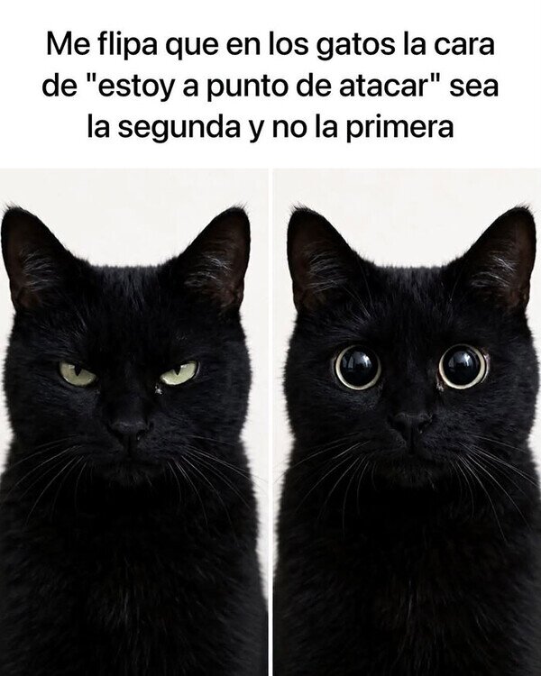 Meme_otros - No los ves venir