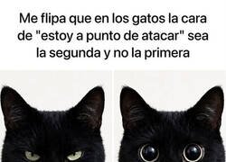 Enlace a No los ves venir