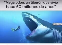 Enlace a No veo fallas en su lógica
