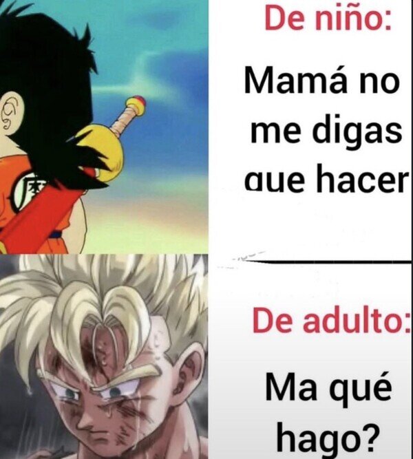 Meme_otros - Forma parte de madurar