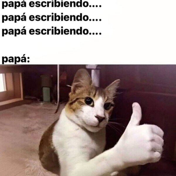 Meme_otros - Sólo quería decir ok