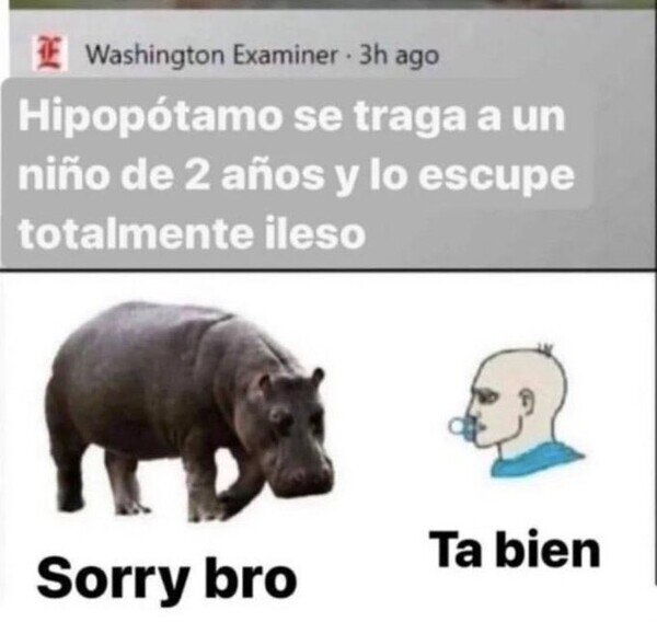 Meme_otros - Noticia con final feliz
