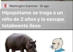 Enlace a Noticia con final feliz