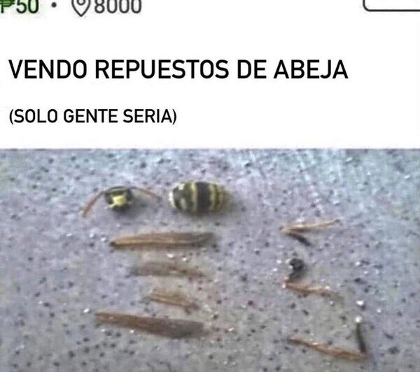 Meme_otros - Es un mercado por explorar