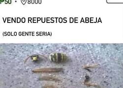 Enlace a Es un mercado por explorar