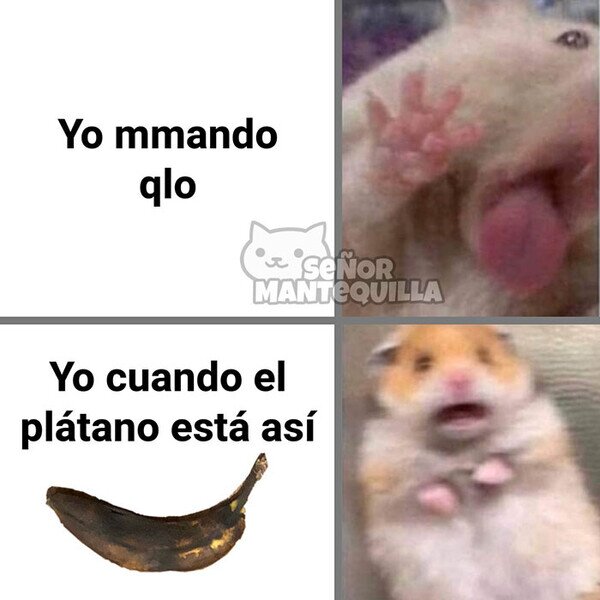 Meme_otros - Mi curioso sentido del asco