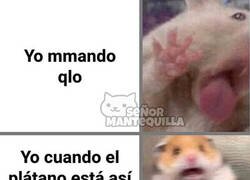 Enlace a Mi curioso sentido del asco