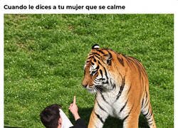 Enlace a Tienes las de perder