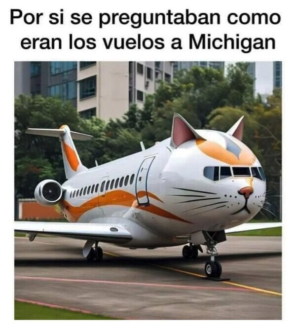 Otros - Un avión a Michigan
