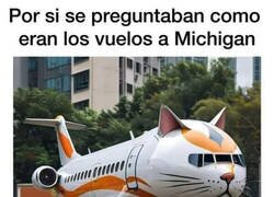 Enlace a Un avión a Michigan