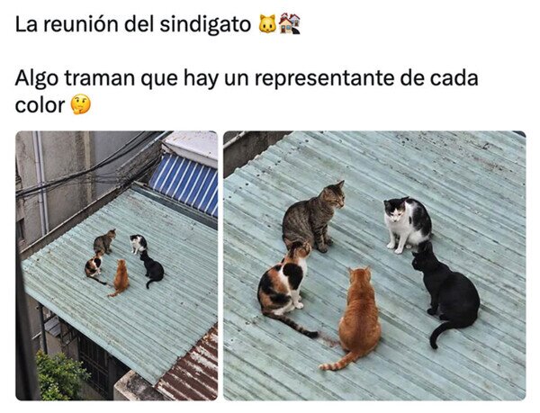 Otros - La reunión del sindigato