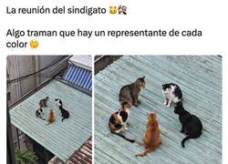 Enlace a La reunión del sindigato