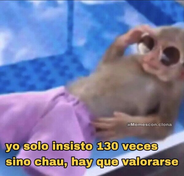 Otros - Hay que saber cuando dejar de insistir