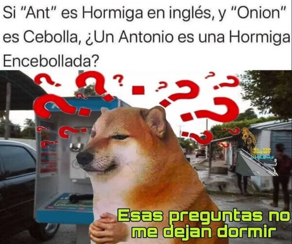 Otros - Pregunta seria