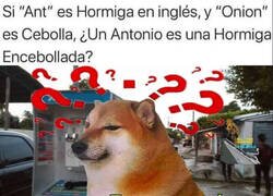 Enlace a Pregunta seria
