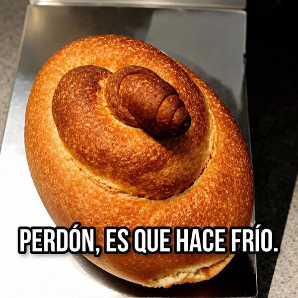 Meme_otros - Cuando te presentas así