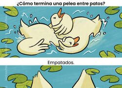 Enlace a Patos peleados
